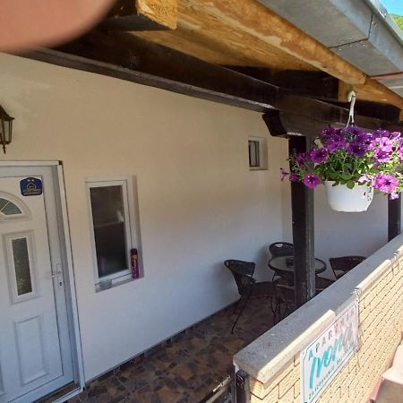 Apartman Ivona Ovcar Banja Bagian luar foto
