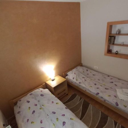 Apartman Ivona Ovcar Banja Bagian luar foto